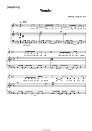 Noten, Akkorde AYLIVA, Apache 207 - Wunder