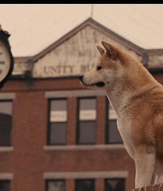 Noten für Klavier zum Hachiko-Film