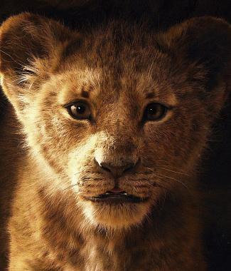 Noten für Klavier The Lion King