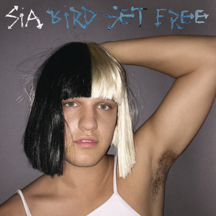 Sia - Bird Set Free Noten für Piano