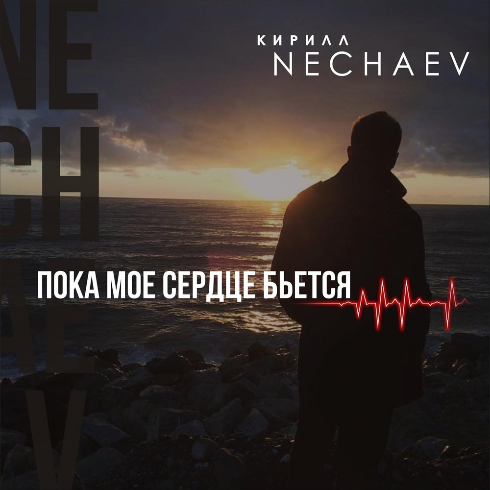 Nechaev - Пока мое сердце бьется Akkorde