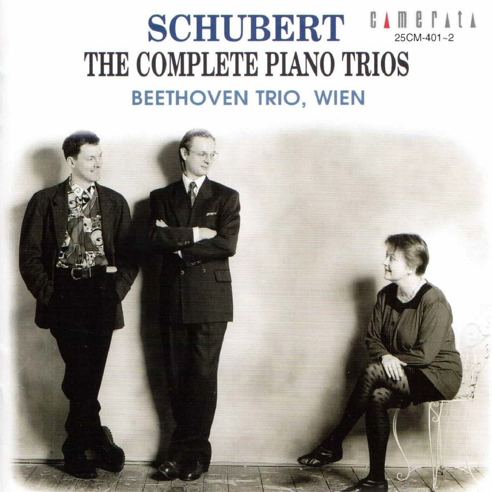 Franz Schubert - Piano Trio No. 2 in E-Flat Major, Op. 100, D. 929: III. Scherzo. Allegro moderato Noten für Piano