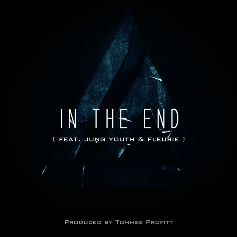 Tommee Profitt, Fleurie, Jung Youth - In the End Akkorde