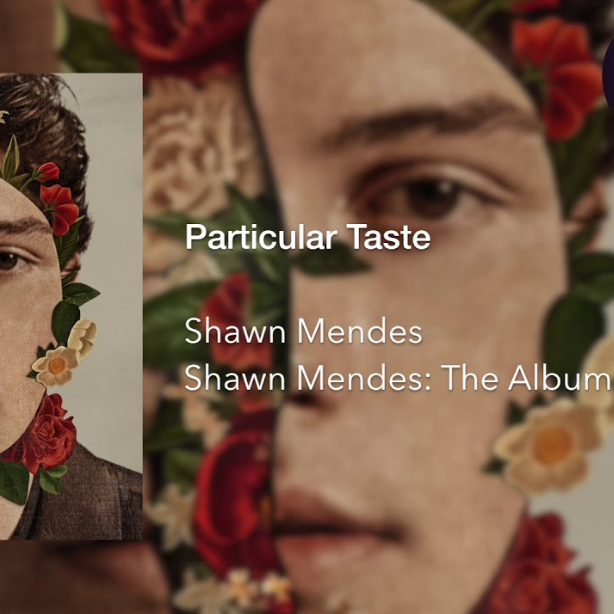 Shawn Mendes - Particular Taste Noten für Piano
