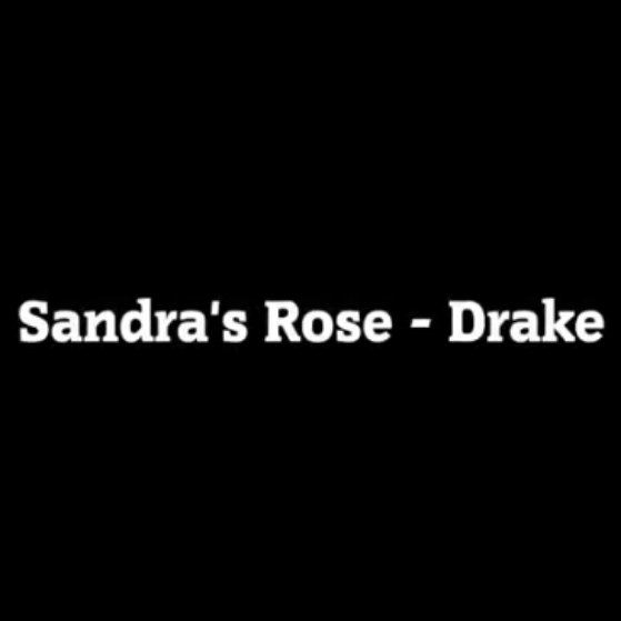 Drake - Sandra’s Rose Noten für Piano