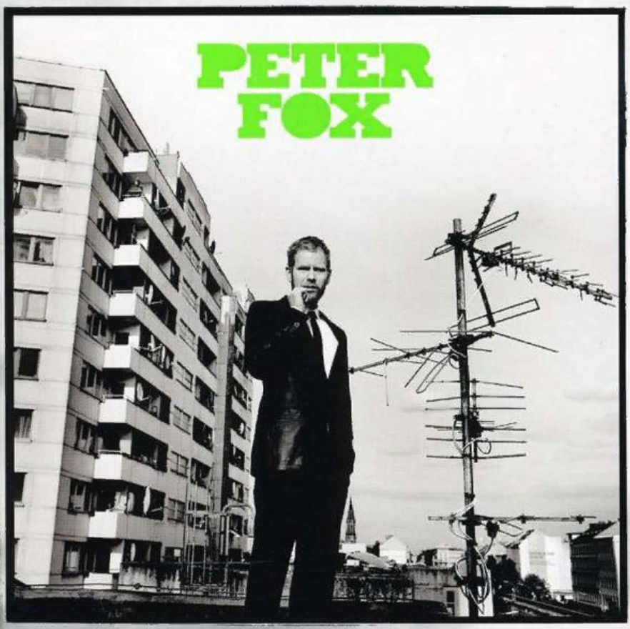 Peter Fox - Schwarz zu Blau Noten für Piano downloaden für Anfänger