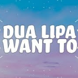 Dua Lipa - Want To Noten für Piano