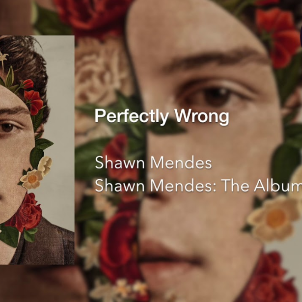 Shawn Mendes - Perfectly Wrong Noten für Piano downloaden für Anfänger ...