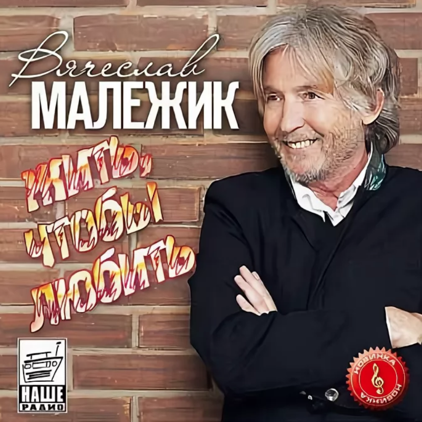 Vyacheslav Malezhik - Иди навстречу Akkorde