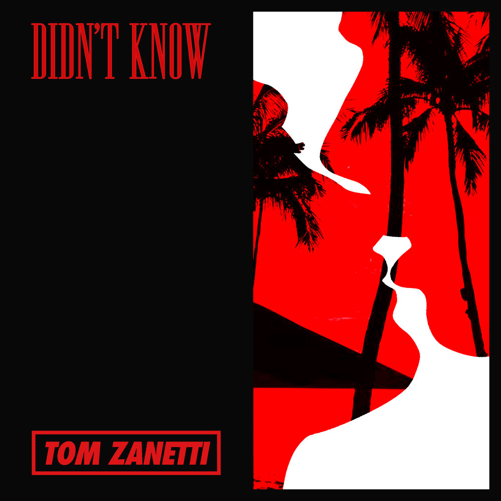 Tom Zanetti - Didn't Know Noten für Piano