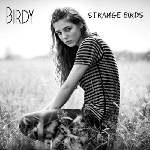 Birdy - Strange Birds Noten für Piano