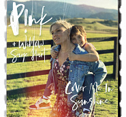 P!nk, Willow Sage Hart - Cover Me In Sunshine Akkorde