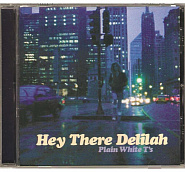 Plain White T's - Hey There Delilah Noten für Piano