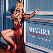 Shakira usw. - Can't Remember to Forget You Noten für Piano