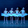 Pyotr Ilyich Tchaikovsky - Dance of small swans Noten für Piano
