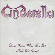 Cinderella - Don't Know What You Got (Till It's Gone) Noten für Piano