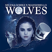 Selena Gomez usw. - Wolves Noten für Piano