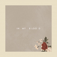 Shawn Mendes - In My Blood Noten für Piano