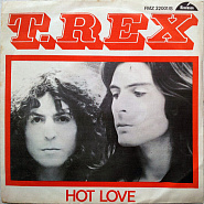 T. Rex - Hot Love Noten für Piano