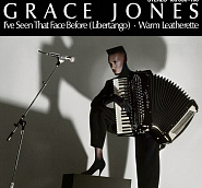 Grace Jones - I've Seen That Face Before (Libertango) Noten für Piano