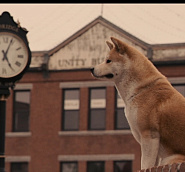 Hachiko
