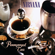 Nirvana - Pennyroyal tea Noten für Piano