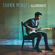 Shawn Mendes - There's Nothing Holdin' Me Back Noten für Piano