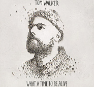 Tom Walker - Not Giving In Noten für Piano