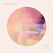 Shawn Mendes - If I Can't Have You Noten für Piano