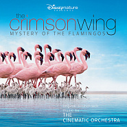 The Cinematic Orchestra - Arrival of The Birds Noten für Piano