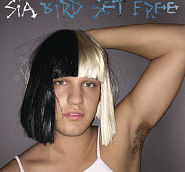 Sia - Bird Set Free Noten für Piano