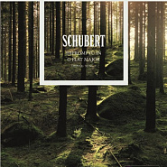 Franz Schubert - Impromptu No.3 Andante In G Flat, D.899 Op.90 Noten für Piano