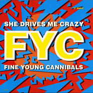 Fine Young Cannibals - She Drives Me Crazy Noten für Piano