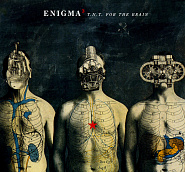 Enigma - T.N.T. For The Brain Noten für Piano
