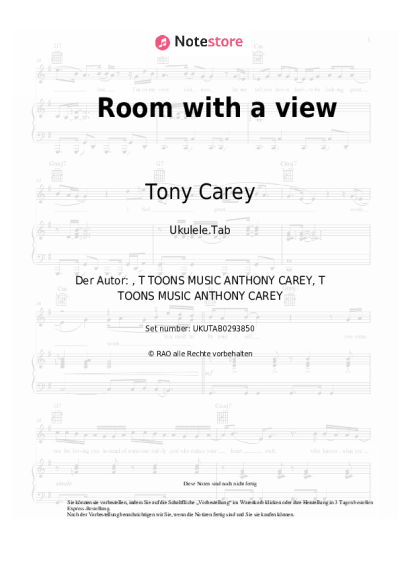 undefined Tony Carey - Room with a view